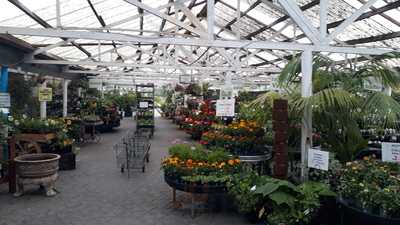 Portstone Nursery Cafe