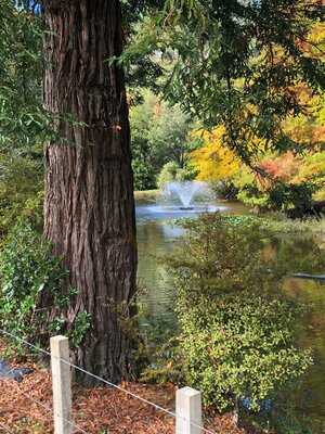 Puhoi Valley Cafe And Cheese Store