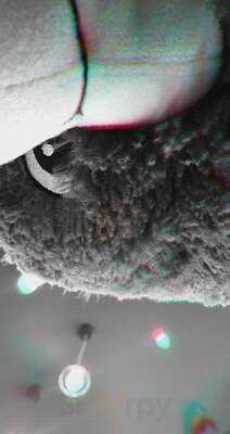 Domino's Pizza Miramar