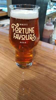 Fortune Favours - Wellington Airport