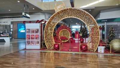 Yoghurt Story Northlans