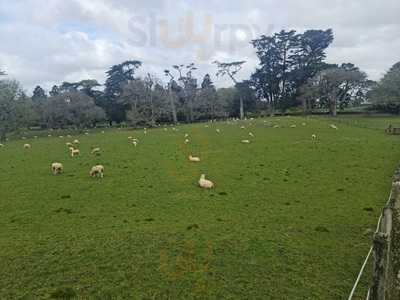 Cornwall Park Garden Restaurant