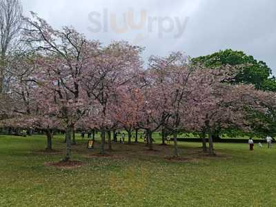 Cornwall Park Garden Restaurant