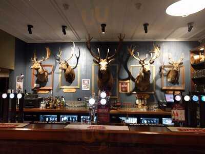 Five Stags