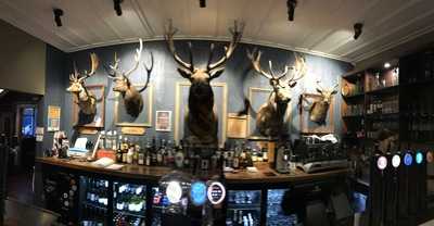 Five Stags
