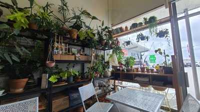 Manna Coffee Bread &store