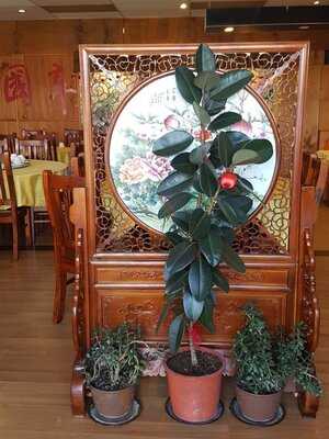 Chinese Spicy Restaurant