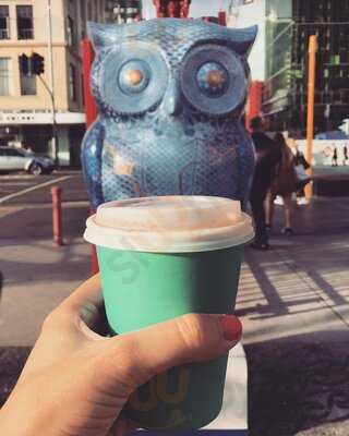 Wolf Coffee Roasters