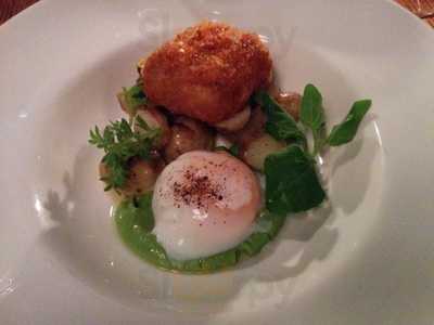 The White Rabbit On The Park