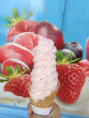 Anija's Fresh Fruit Ice Cream