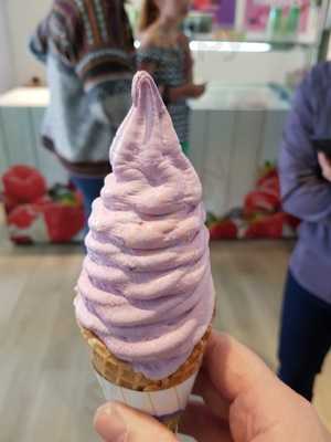 Anija's Fresh Fruit Ice Cream