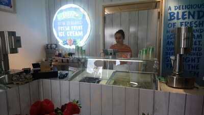 Anija's Fresh Fruit Ice Cream