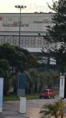 The Alex Bar & Eatery