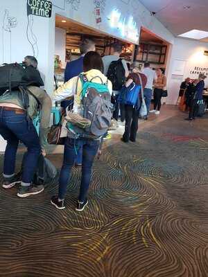 Shaky Isles Coffee Co.