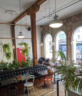 Shaky Isles Coffee Co.