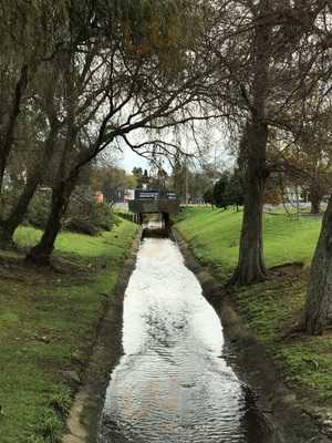 Roskill Coffee Project