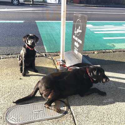 Ivy & Bean Espresso Deli