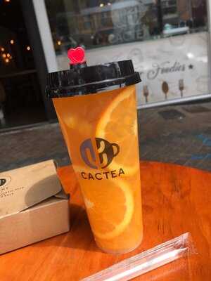 Cactea