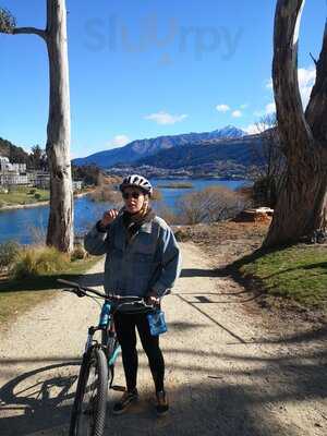 Beech Tree Craft Beer