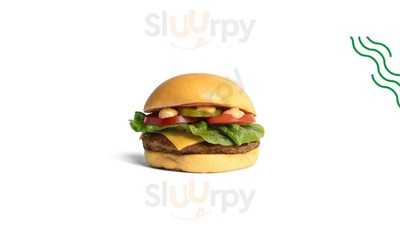 Shake Out Hamilton East