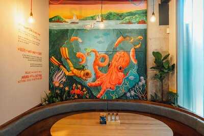 Taco Medic (ponsonby)