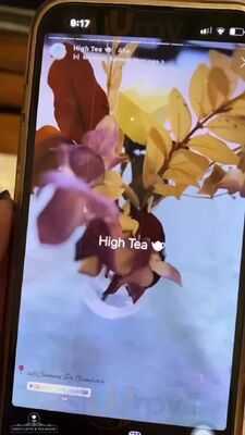 Daily Latte & Tea Room