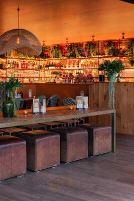 Burger Burger Torbay