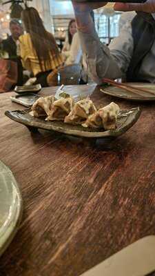 Salvaje Costa Del Este