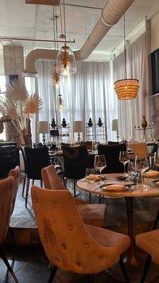 Salvaje Costa Del Este