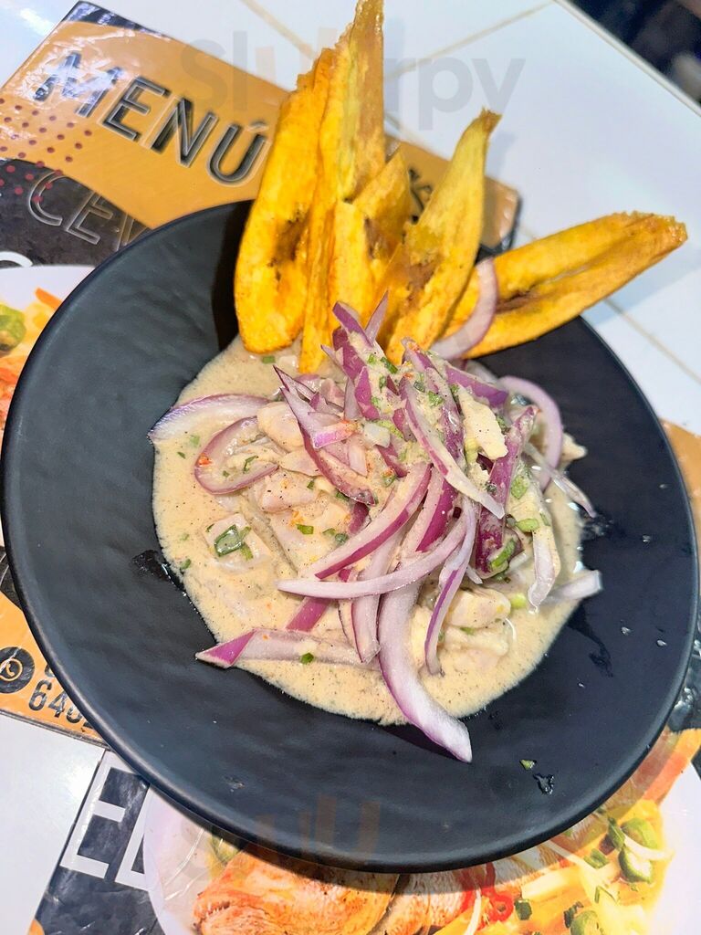 Elcevichonpty
