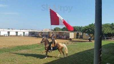 Palo Marino Restaurante