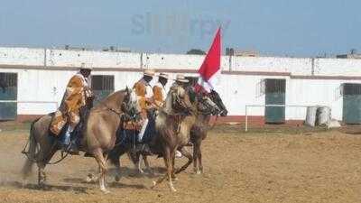 Palo Marino Restaurante