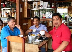 Procafes