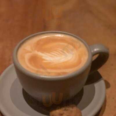 Osaka Pardo Y Aliaga