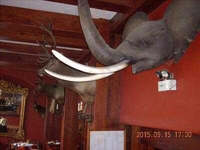 El Hornero - La Molina