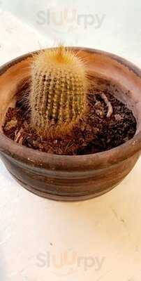 The Churro Bar Cusco