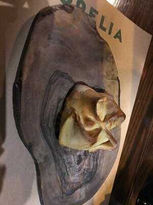 Morelia - Pizza A La Parrilla