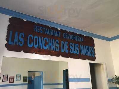 Las Conchas De Sus Mares