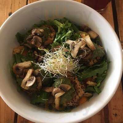 El Jardín De Jazmín