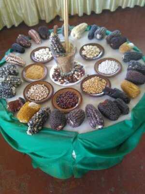 Restaurante Qori Sara