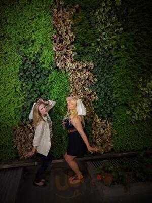 La Bodega De La Trattoria