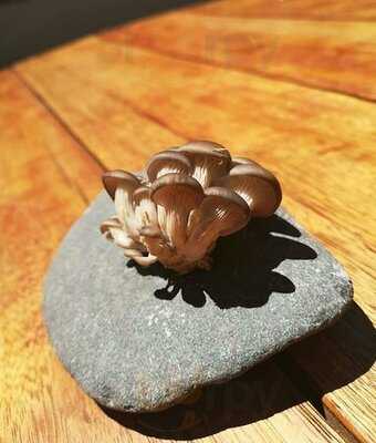 Suculenta Restaurant