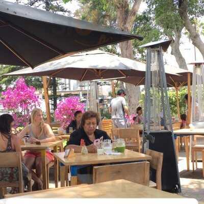 La Bodega Verde Del Mac