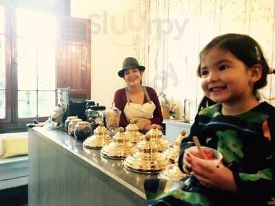 Bosco Magico - Gelato Boutique