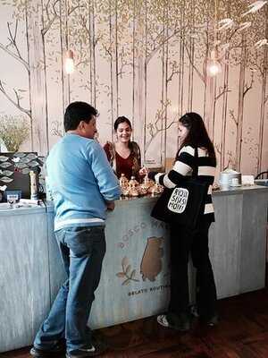 Bosco Magico - Gelato Boutique