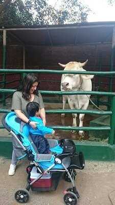 El Arriero Granja Interactiva