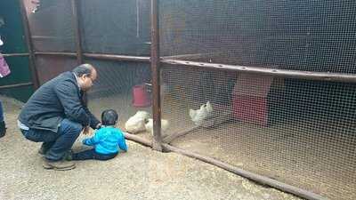 El Arriero Granja Interactiva