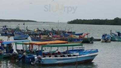 Los Manglares De Tumbes