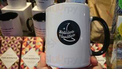 Movement Surf + Cafe