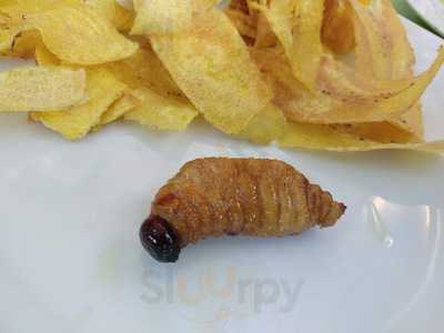 Las Brisas Del Ucayali